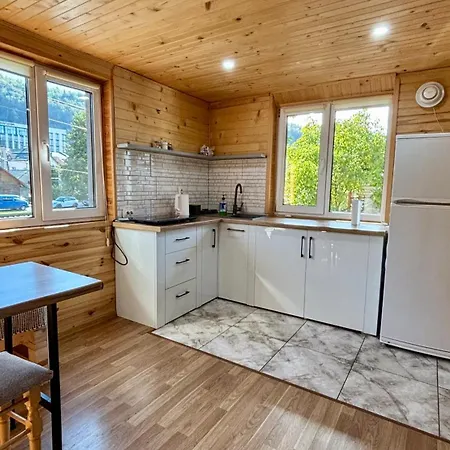 Dubok * Γιαρέμτσε